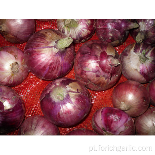 Cebola de bom preço de alta qualidade